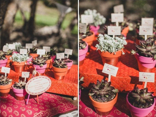 succulent wedding favors