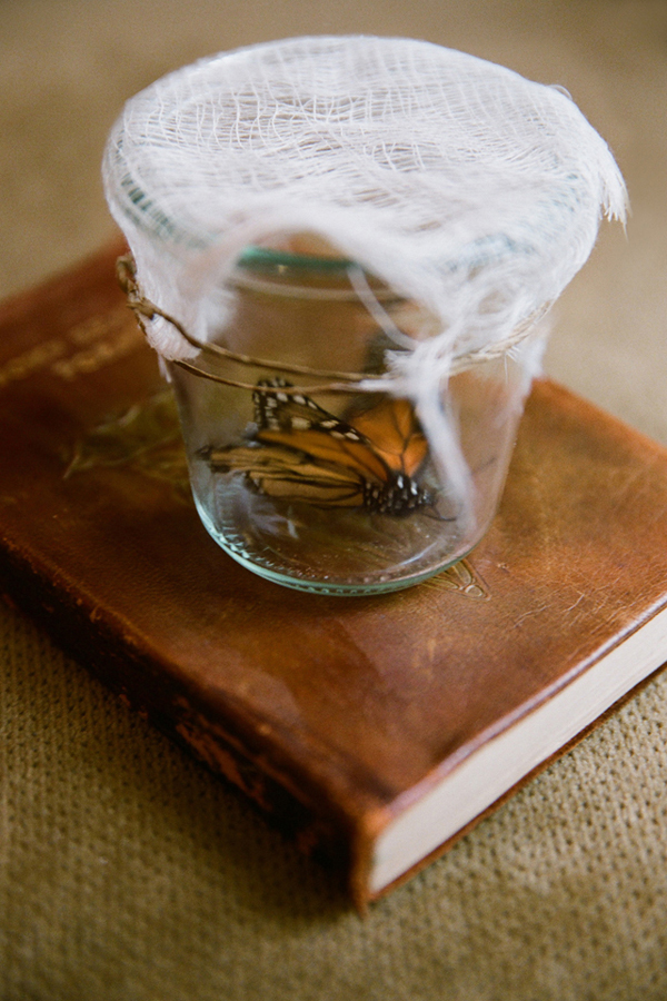 erica-elizabeth-designs-romantic