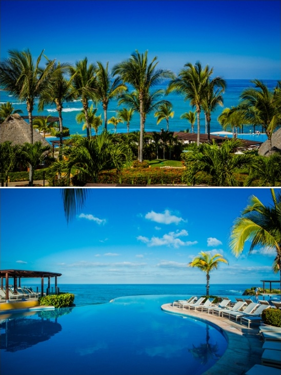 Tropical resort with palm trees and infinity pool with ocean view