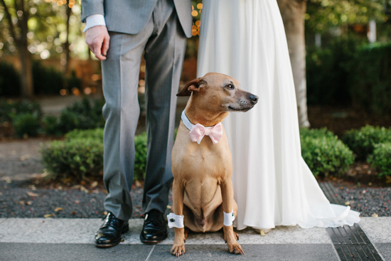 Heather Hawkins Dallas Wedding Photographer