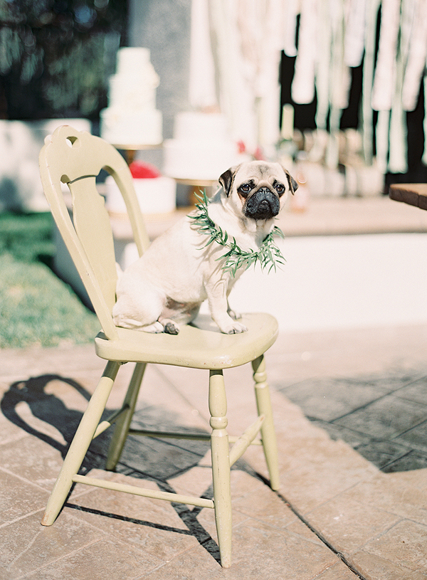 pretty-pink-wedding-inspiration