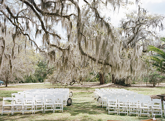 wedding ceremony under heirloom oaks