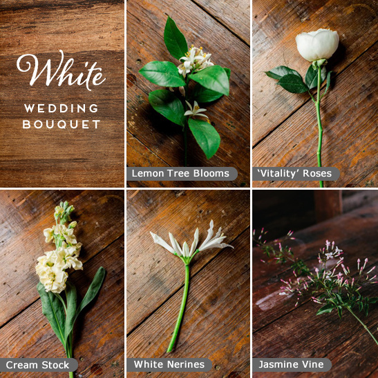 white wedding bouquet ingredients