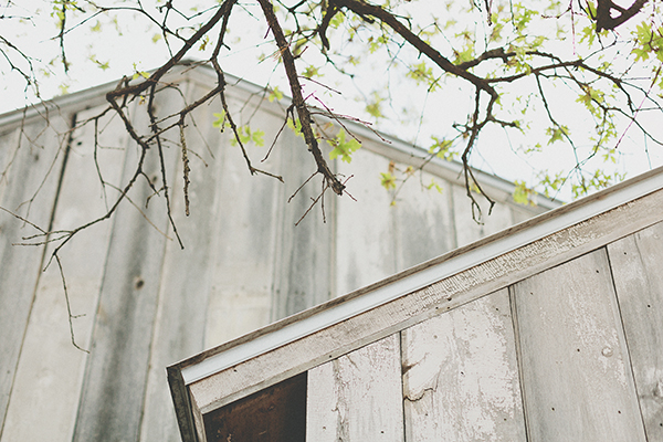 rustic-pink-wedding-at-three-points