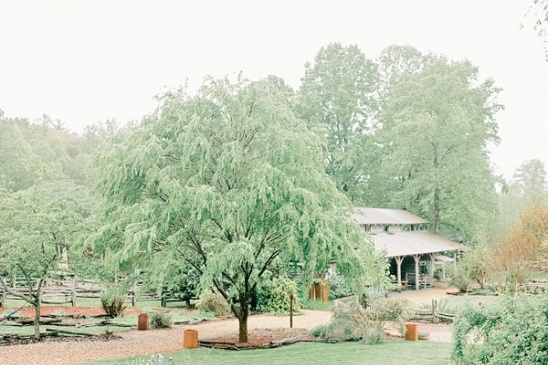 A lush green tree near a wooden barn in a serene garden