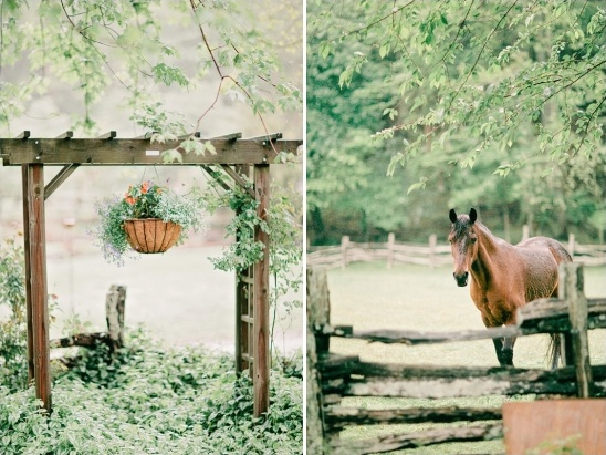 Beautiful garden scene with arch and brown horse in pasture