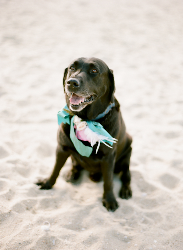 classy-beach-wedding-in-pink-and-gold