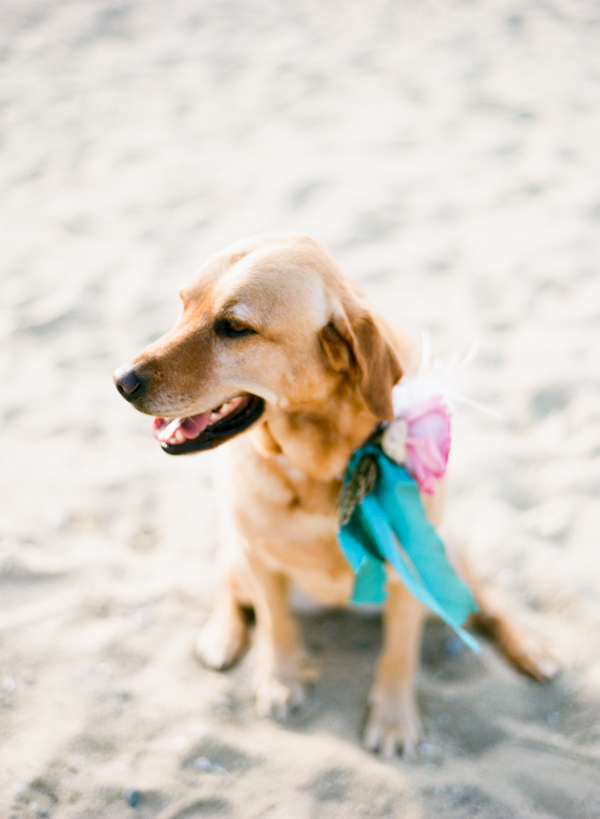 classy-beach-wedding-in-pink-and-gold