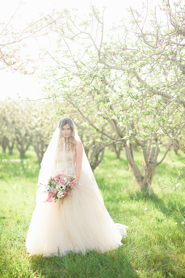 elegant-vintage-wedding-inspiration-at