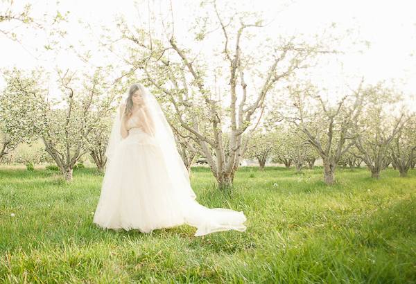 elegant-vintage-wedding-inspiration-at