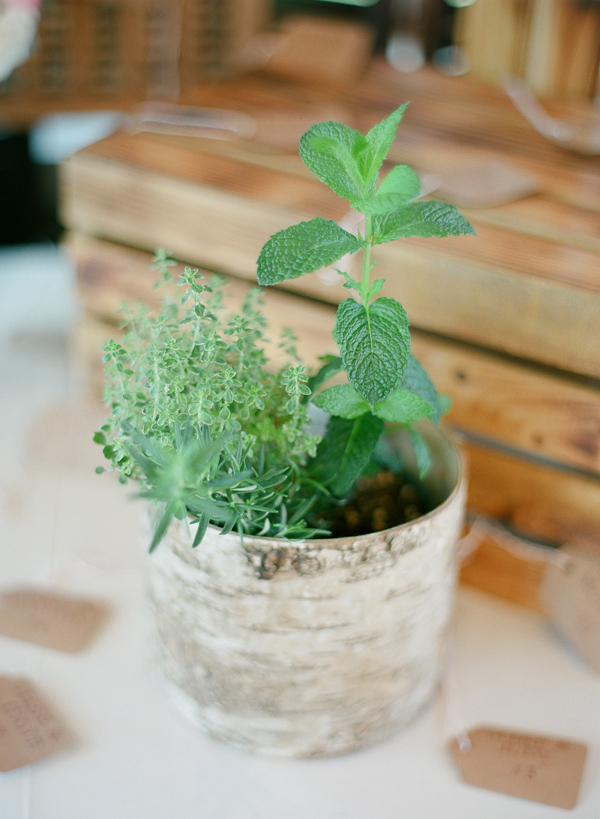 elegantly-rustic-wedding-at-devil-s
