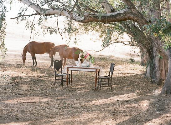 enchanted-rustic-wedding-inspiration
