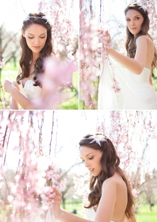 cherry blossom backdrop