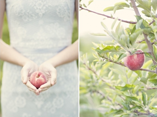 peach wedding ideas