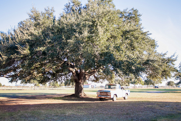 old-fashion-texas-wedding