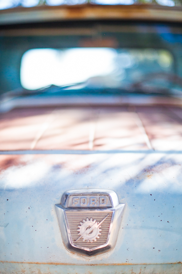 old-fashion-texas-wedding