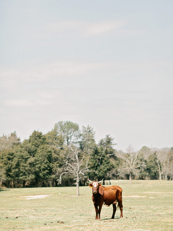 relaxed-georgia-backyard-wedding