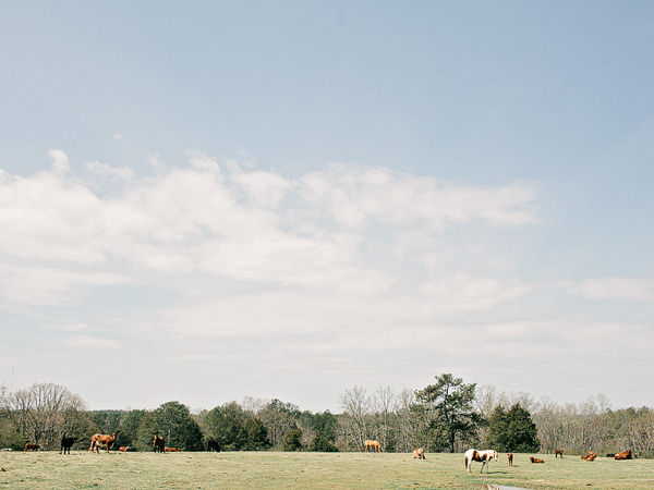 relaxed-georgia-backyard-wedding