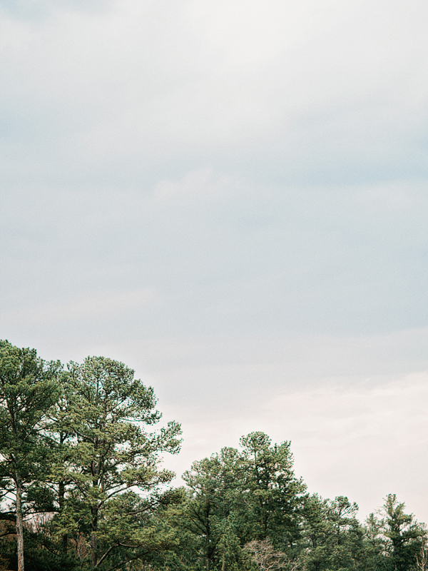 relaxed-georgia-backyard-wedding