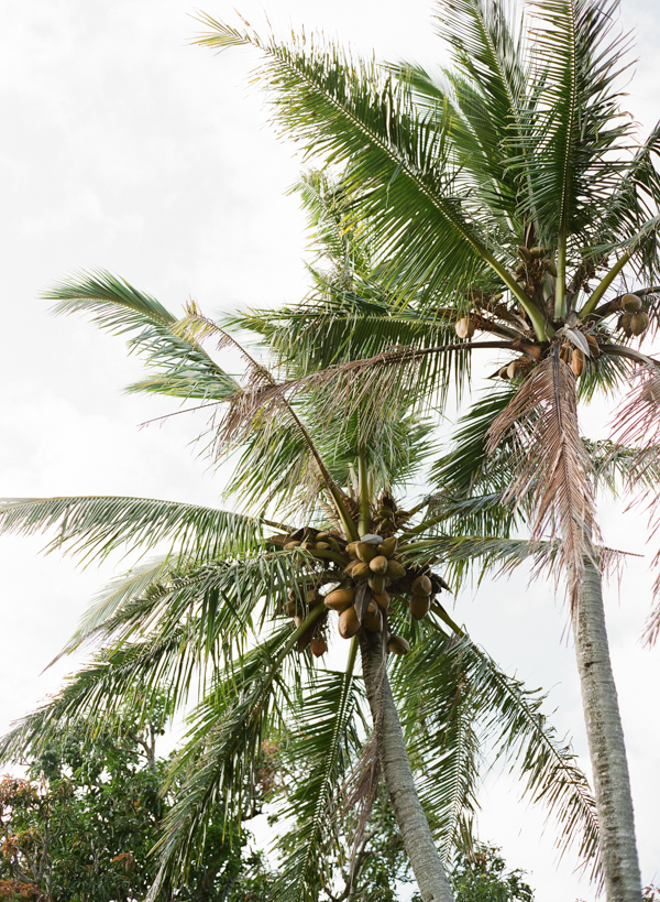 rustic-bohemian-elopement-in-hawaii