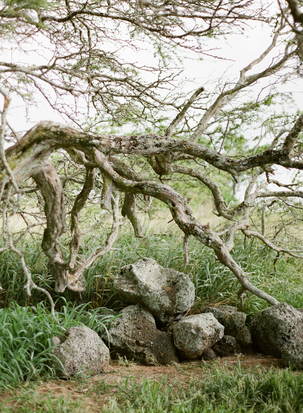 rustic-bohemian-elopement-in-hawaii