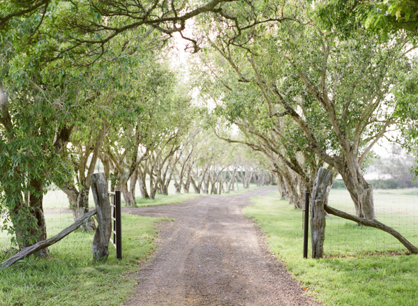 rustic-bohemian-elopement-in-hawaii