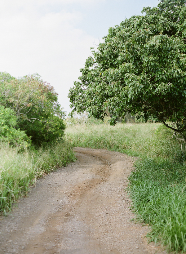 rustic-bohemian-elopement-in-hawaii