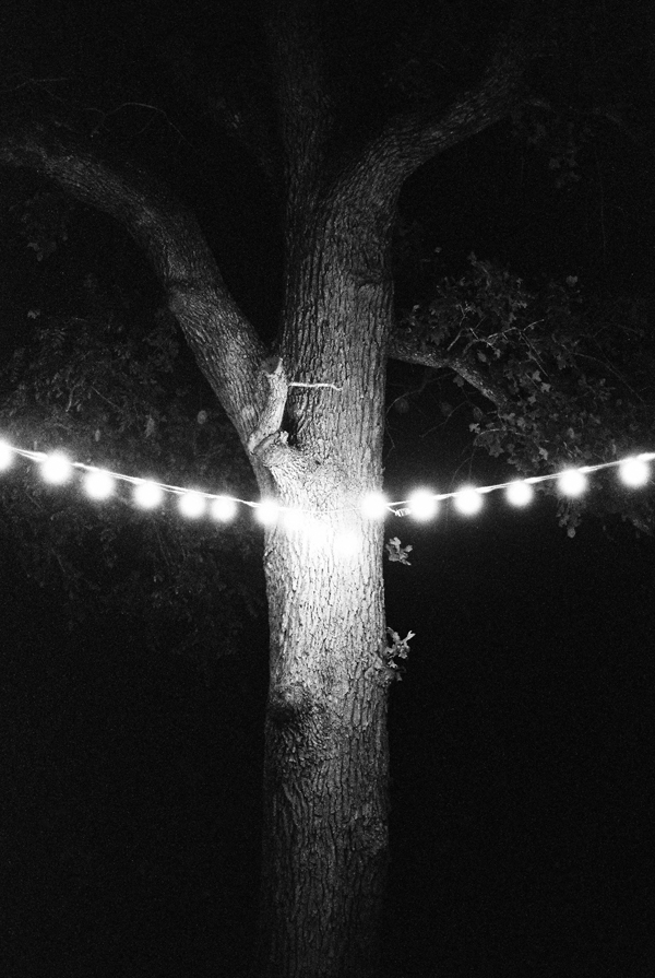 rustic-wedding-at-cedar-bend