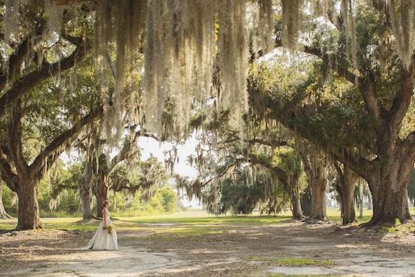 shady-louisiana-bridal-session