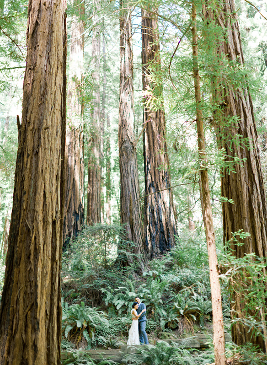 Couple embraces amid redwood trees in a lush forest