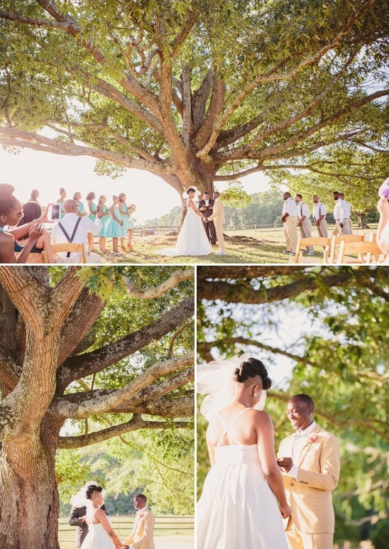 Outdoor wedding ceremony under a large tree