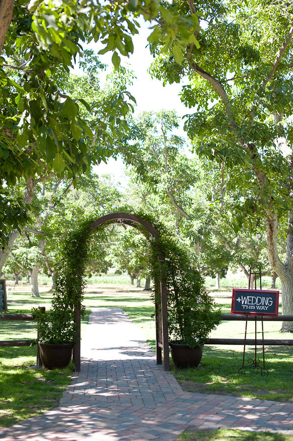 vintage-wedding-at-walnut-grove