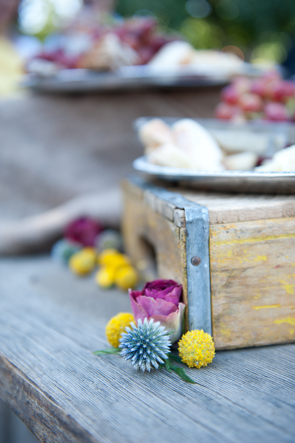 vintage-wedding-at-walnut-grove