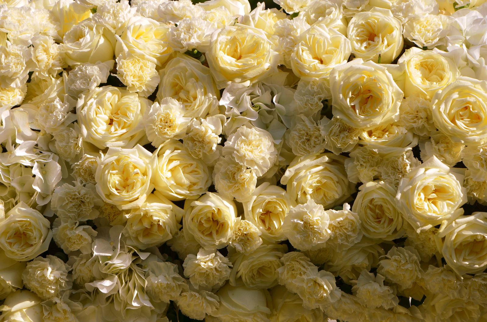 Wedinitaly by Raffaella Alflatt - Weddings in Italy - Wedding in Rome