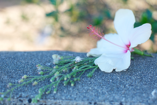 Engagement ring displayed with white hibiscus flower