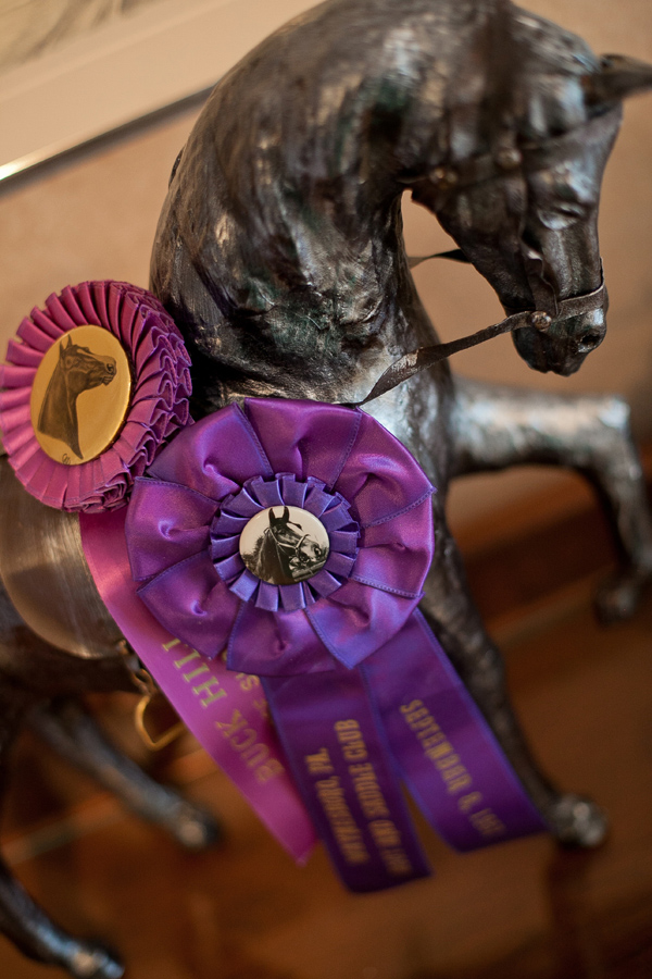 free-equestrian-wedding-templates-and