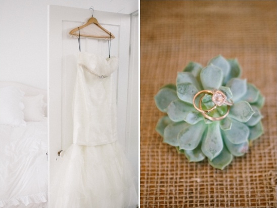 Wedding dress and rings on succulent