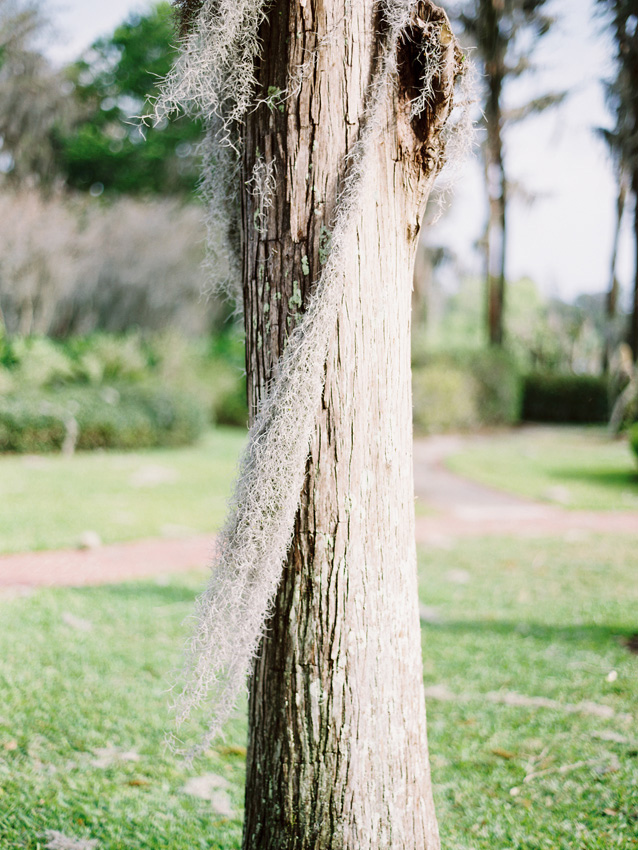 peach-and-gray-wedding-at-cypress