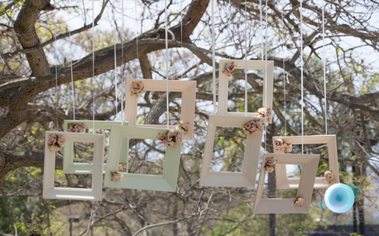 Hanging photo frames decorated with roses in a tree