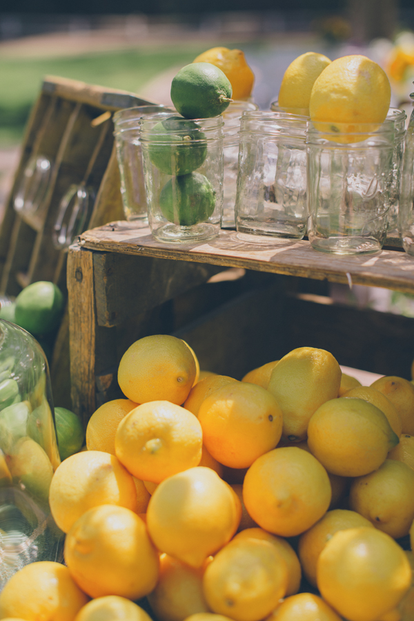rustic-summer-wedding-at-walnut-grove