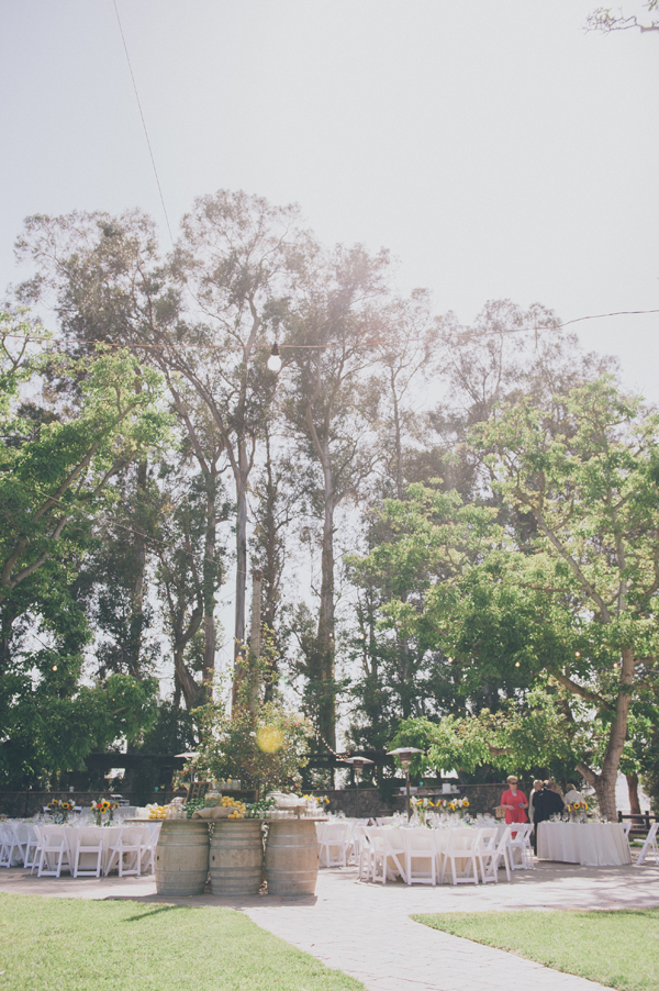 rustic-summer-wedding-at-walnut-grove