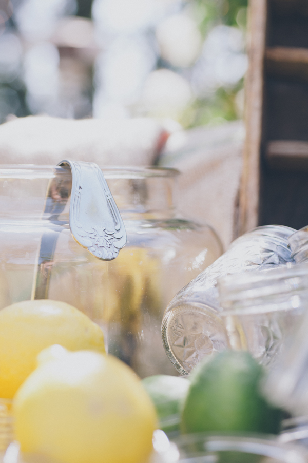 rustic-summer-wedding-at-walnut-grove