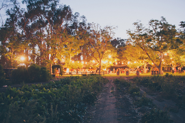 rustic-summer-wedding-at-walnut-grove
