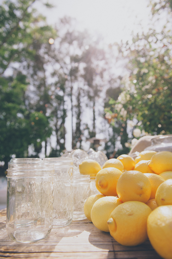 rustic-summer-wedding-at-walnut-grove