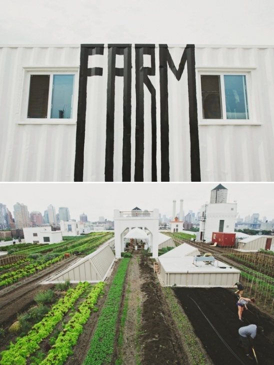 brooklyn grange rooftop farm