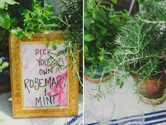 pick your own herbs