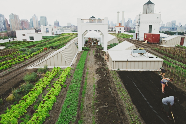 rustic-urban-wedding-ideas-at-brooklyn