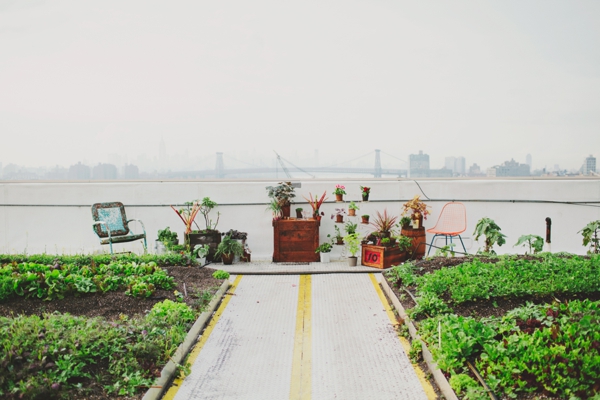 rustic-urban-wedding-ideas-at-brooklyn