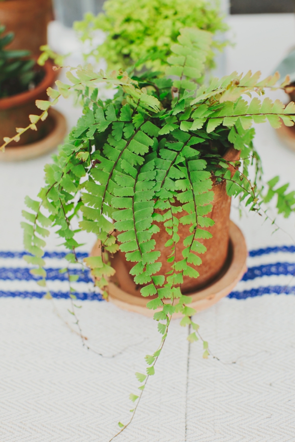 rustic-urban-wedding-ideas-at-brooklyn