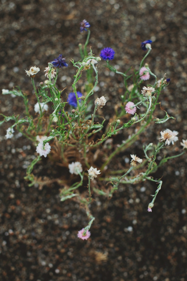 rustic-urban-wedding-ideas-at-brooklyn
